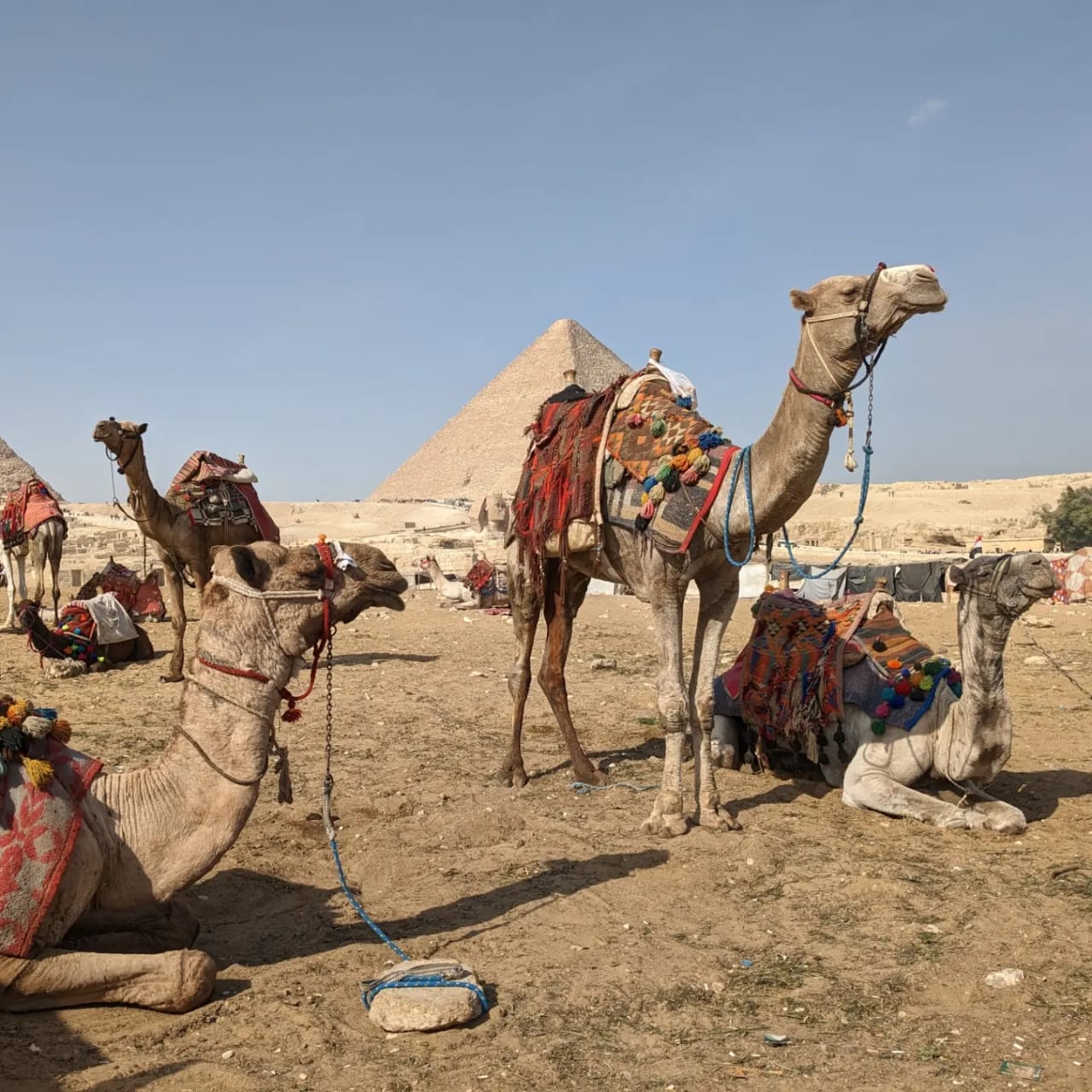 Egipto: Mucho más que las pirámides